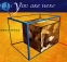 Eurostar_Box