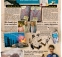 Social_Care_Business