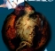 Sandman_71